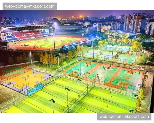 农民体育健身工程升级改造为市民运动球场，鼓励利用城市复合空间